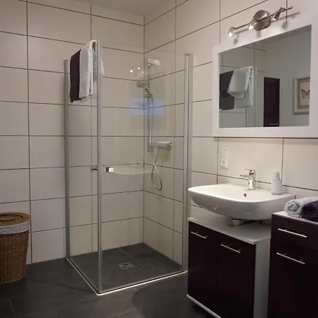 Am Neckarsteig Mit Anbindung An Heidelberg * ネッカーシュタイナハ