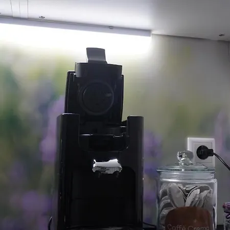 Am Neckarsteig Mit Anbindung An Heidelberg アパート *