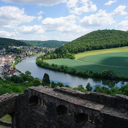 Am Neckarsteig Mit Anbindung An Heidelberg דירה נקארשטיינאך