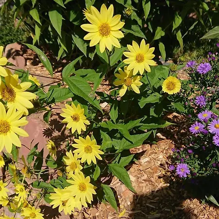 Am Neckarsteig Mit Anbindung An Heidelberg アパート *