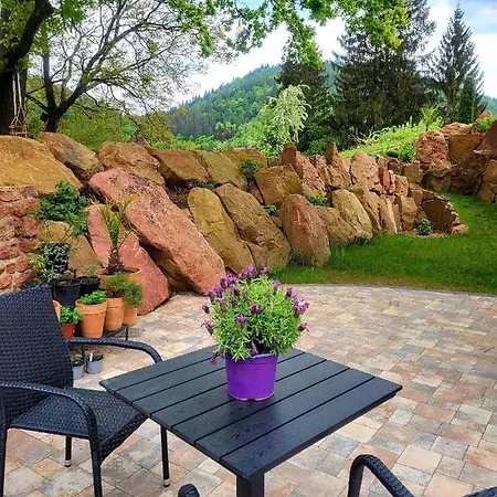 Am Neckarsteig Mit Anbindung An Heidelberg Appartement Neckarsteinach