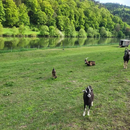 Am Neckarsteig Mit Anbindung An Heidelberg *