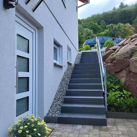 Am Neckarsteig Mit Anbindung An Heidelberg アパート *