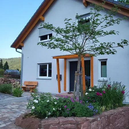 Apartment Am Neckarsteig Mit Anbindung An Heidelberg *